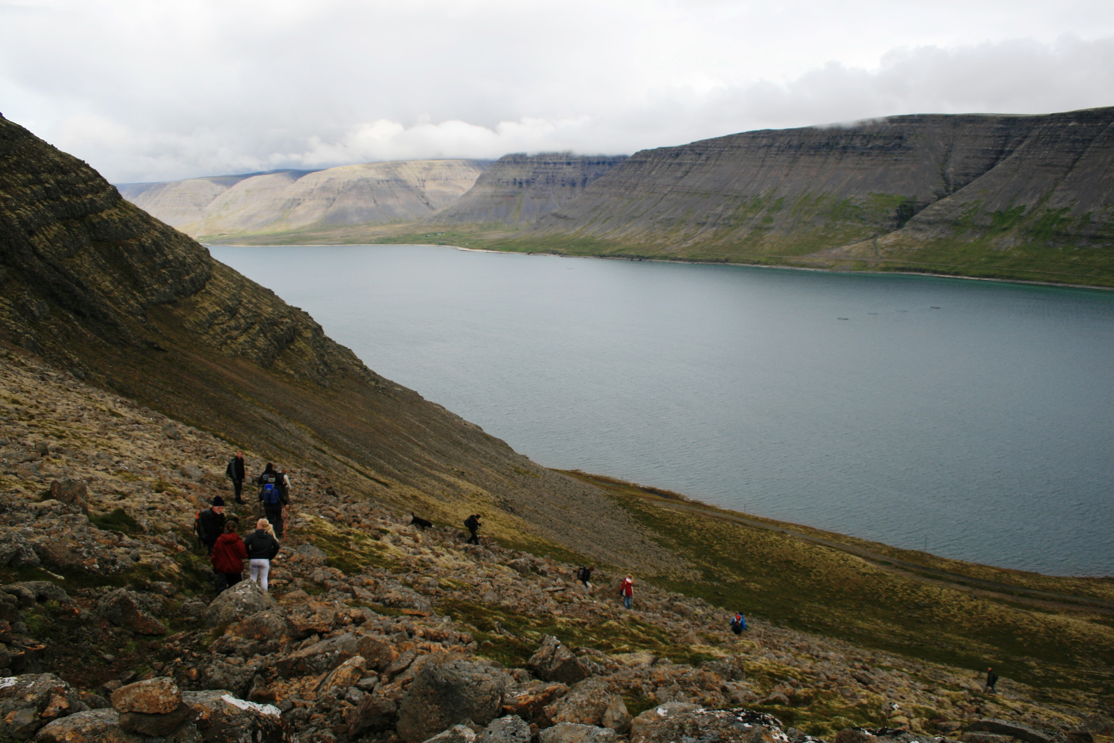 When hiking between the two western fjords of Patreksfjörður and Tálknafjörður, you are guaranteed stunning views of steep mountains rising above the ocean.