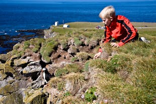 The Látrabjarg cliffs are an amazing place for people of all ages to have a personal interaction with a wild animal.