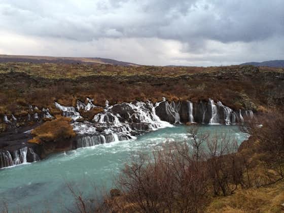 Hraunfossar waterfalls create a sheet of small rivulets, streaming down the lava wall.