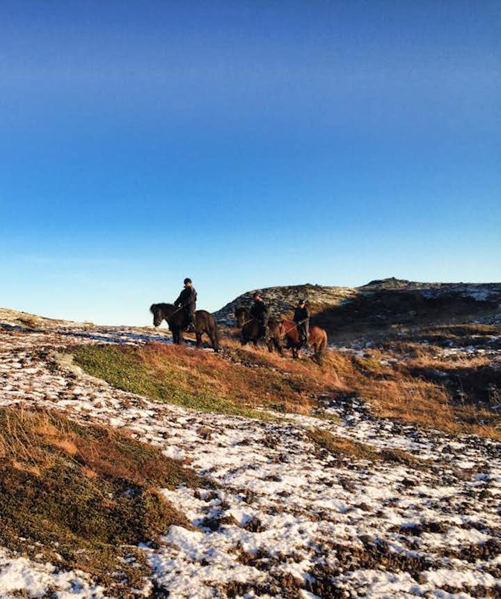 The Icelandic Horse volcanic landscape horse riding tour