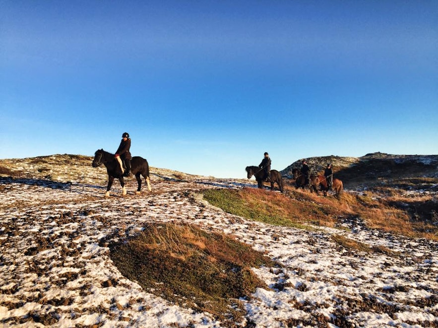 The Icelandic Horse volcanic landscape horse riding tour