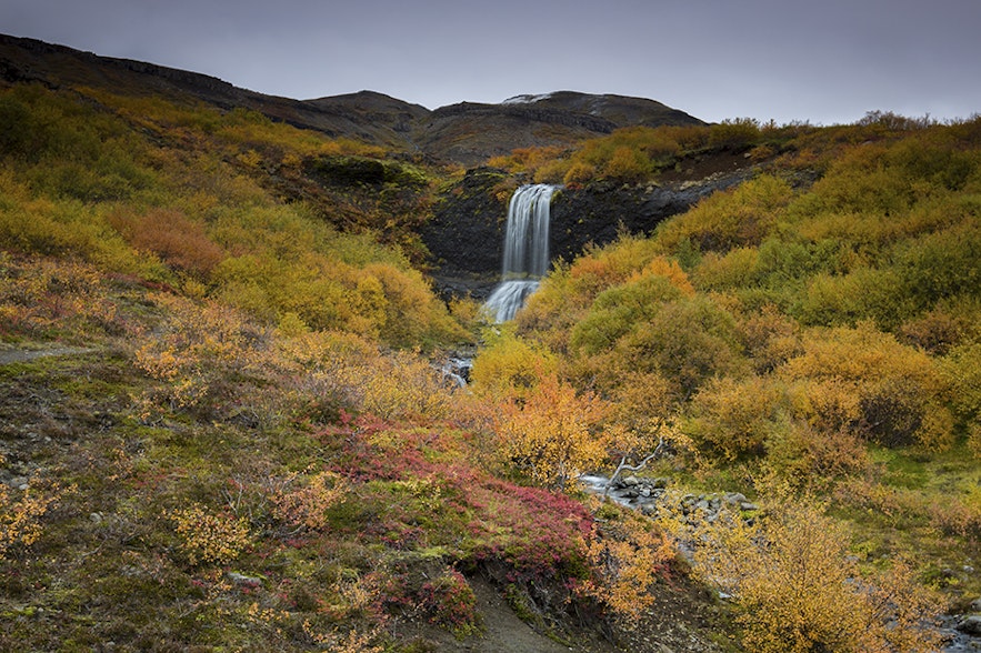 Small waterfall in the bottom of the fjord in autumn colours.