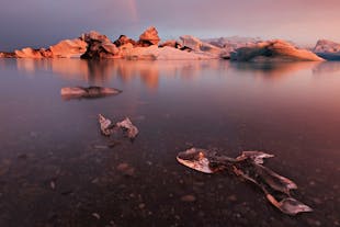 Una sfumatura viola nel cielo islandese sotto il sole di mezzanotte si riflette sugli iceberg nella laguna glaciale Jokulsarlon.