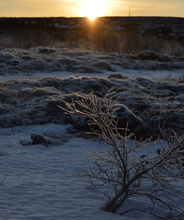 日の出時間の遅いアイスランドなら初日の出もラクラク見れる