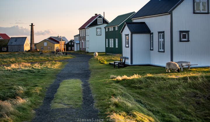 10-dagers leiebiltur om sommeren til Vestfjordene, Snæfellsnes og Flatey på Island