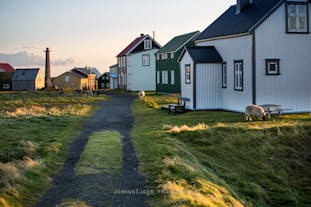 Explorer les coins plus secrets de l'Islande tels que l'île isolée de Flatey lors d'un autotour de 10 jours.