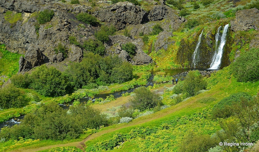 Gjarfoss tumbles into a pristine pool of water, which then flows down a rocky stream bed.