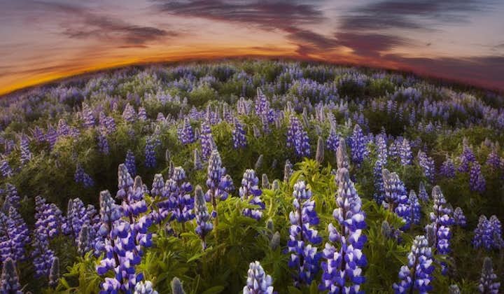 冰岛的神奇午夜阳光为自然风光镀上了一层神秘的光彩
