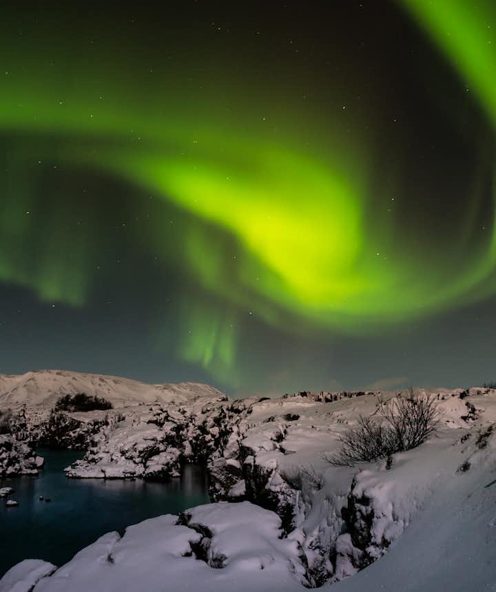 Everything you need to know about the northern lights