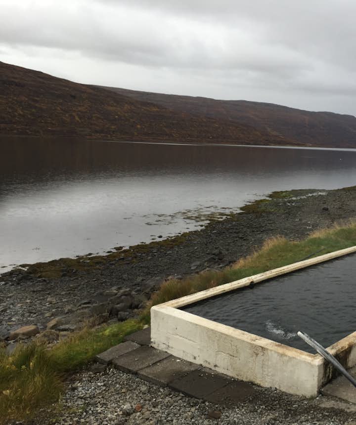 Westfjords Favourite Hot Pools and Swimming Pools of the Locals