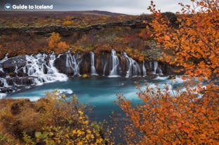 De Hraunfossar-waterval in West-IJsland, omringd door herfstbladeren.