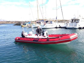 The 6.5 metre RIB boat is fitted with a 140 hp suzuki outboard motor.