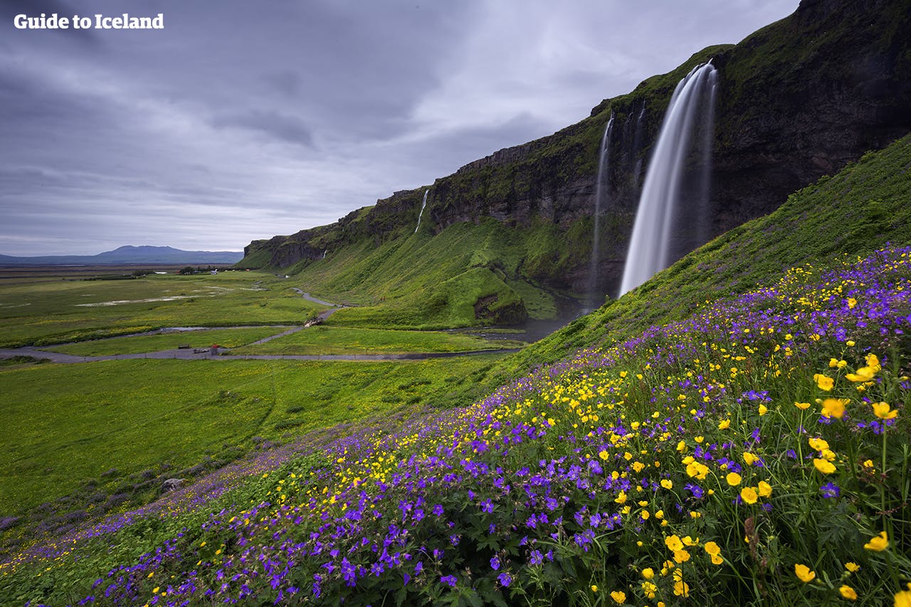 アイスランドの南海岸の観光名所、セリャラントスフォスを楽しむなら夏がベストシーズン
