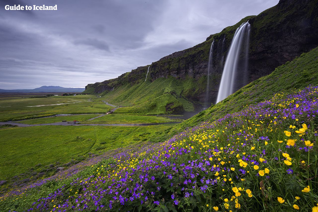 Seljalandsfoss, one of the jewels of the South Coast, is made all the beautiful in the bright summer months.
