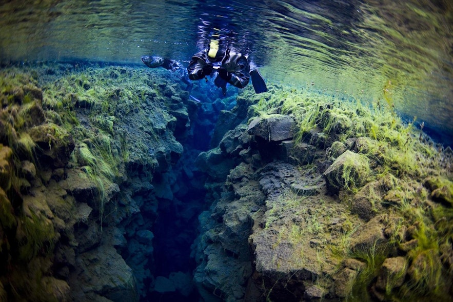Tour de Snorkel y Cueva de Lava