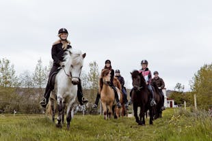 在冰岛北部之都阿克雷里体验骑马的乐趣。