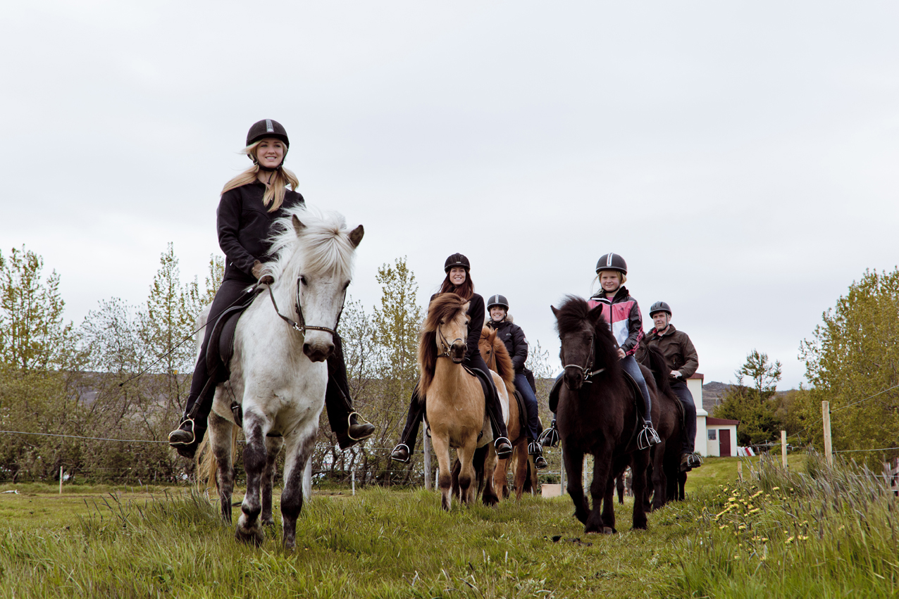 At ride på en islandsk hest gennem Nordislands natur er en vigtig lokal oplevelse.