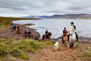 骑着萌萌冰岛马，领略冰岛北部的淳朴自然风光。