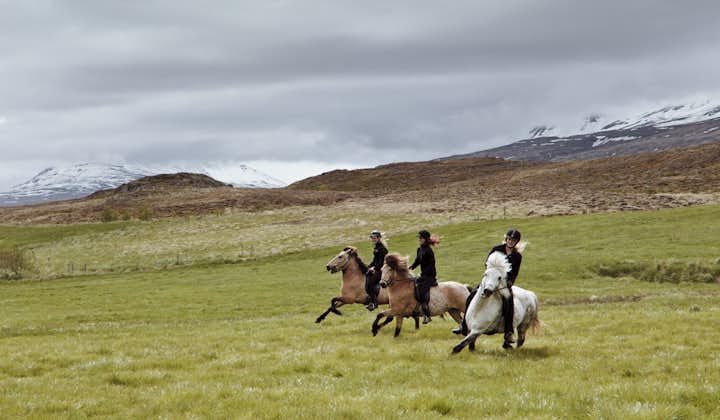 Het is opwindend om te paard door de landschappen van Noord-IJsland te trekken.