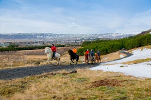 参加冰岛骑马旅行团是一个非常享受的过程