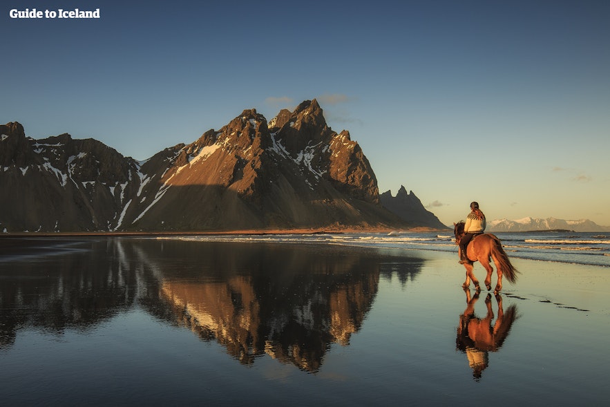 Balade à cheval sur une plage déserte le long d'un fjord en Islande