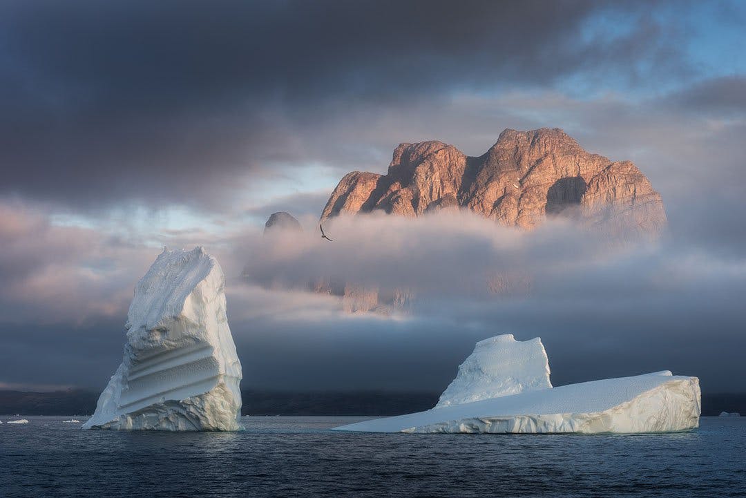 Icebergs off the coast of the Bear Islands in Greenland, with steep coastal cliffs looming behind the fog.