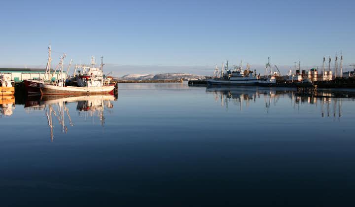 The Old Harbour of Reykjavík is historic, and now a centre of tourist activity.