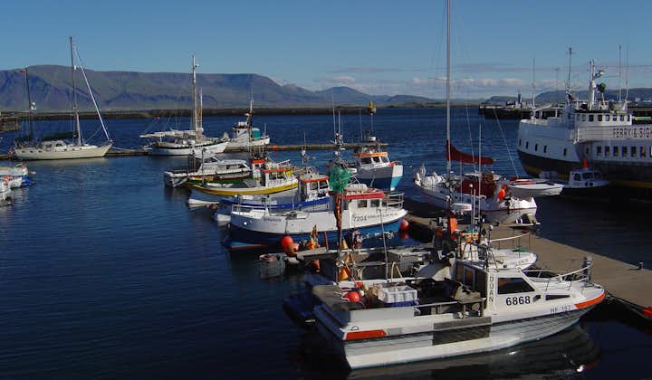 Il y a beaucoup de bateaux de pêche pittoresques au vieux port de Reykjavík.