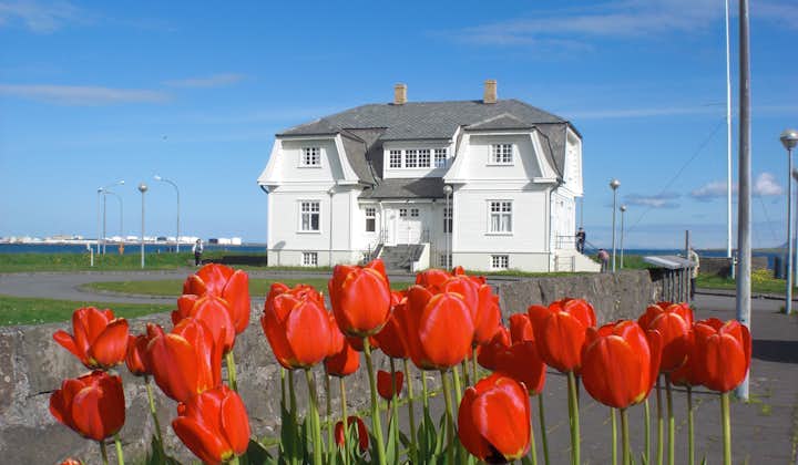 Tulips growing before Reykjavík's Hofði House, where seeds to end of the Cold War were planted.