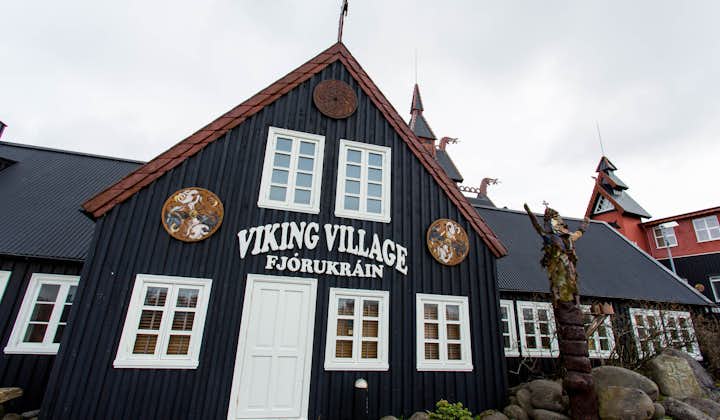 Visite Culturelle Guidée de 12 heures à travers l'Histoire des Viking & les Sagas Islandaises
