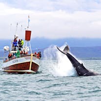 Personne n'est à l'abris d'être éclaboussé par une baleine à bosse