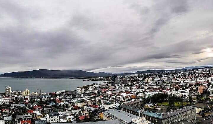 A Flashing Heli Ride: Reykjavik City And Mount Esja with landing