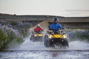 It's easy to see why driving an ATV might be so much fun...