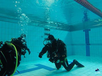 Divers practice drills underwater in a swimming pool to prepare for open-water dry suit dives.
