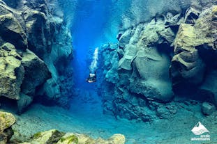 Dive in the crystal-clear waters of the Silfra fissure when you complete a 2-day PADI dry suit certification.
