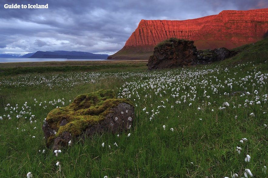 冰岛西峡湾群山上的午夜阳光。