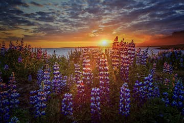冰岛午夜阳光