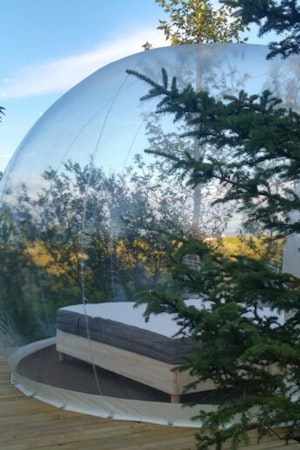 Enjoy Iceland's natural beauty and stunning landscape from inside a bubble while staying at Buubble Hrosshagi in Reykholt.