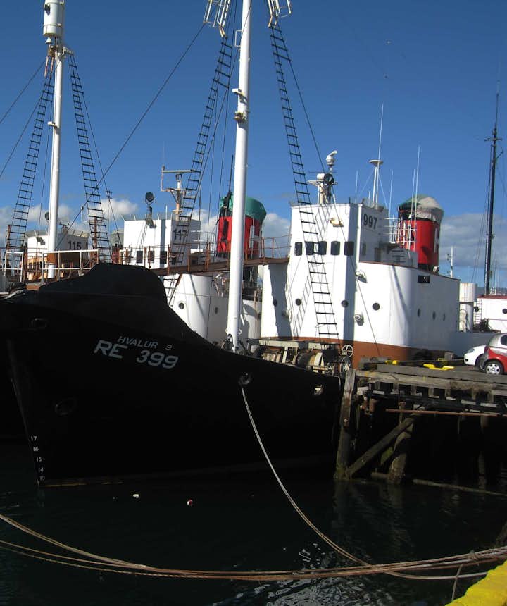 Whaling ships in Iceland. Photo by Wurzeller. Wikimedia Creative Commons.