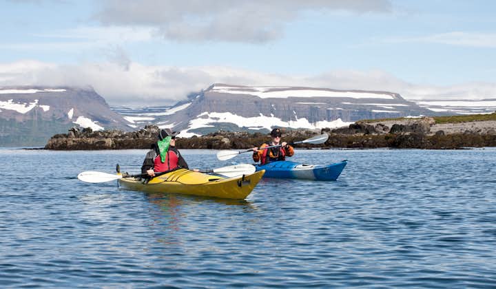 8-godzinna wycieczka przyrodnicza i kajakowa po wyspie Vigur na Fiordach Zachodnich z transferem z Isafjordur
