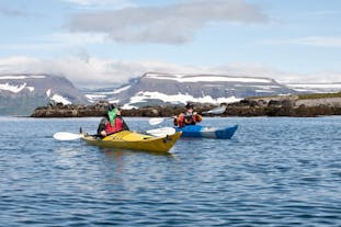 Voor kajakmogelijkheden in IJsland in de zomer hoef je niet verder te zoeken dan de Westfjorden.