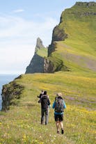 Fleurs sauvages, falaises spectaculaires et verdure définit les parties les plus reculées des Westfjords en été.