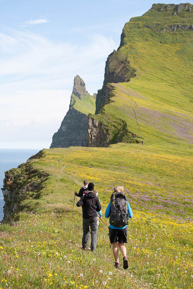 Wildflowers, dramatic cliffs and verdant greenery defines the remotest parts of the Westfjords in summer.