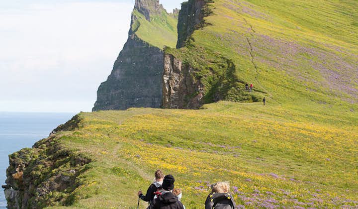 Wildflowers, dramatic cliffs and verdant greenery defines the remotest parts of the Westfjords in summer.