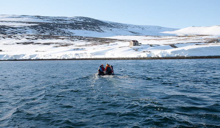 Zip through the waters of the Westfjords to reach your skiing slopes.