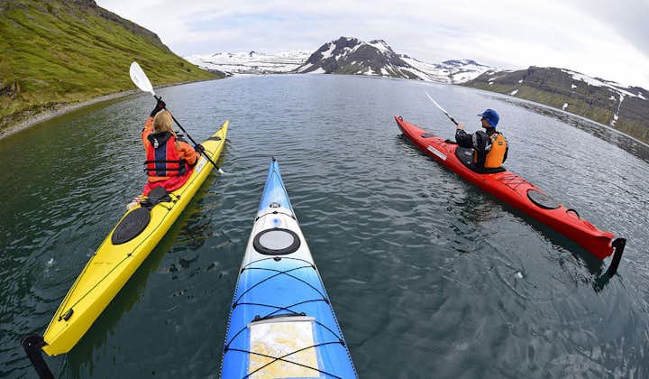This camping and kayaking tour through the Westfjords will introduce you to the Hornstrandir Nature Reserve.