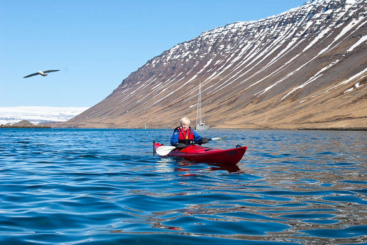 Thrilling 2Hour Westfjords Kayaking Tour from Isafjordur Guide to