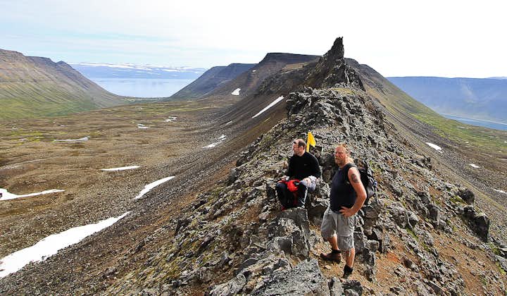 A ridge in the Westfjords revealing spectacular summer views.