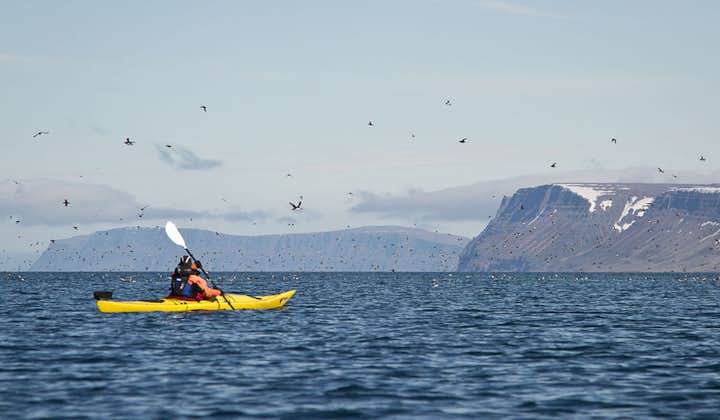 夏季时，在冰岛西峡湾地区体验皮划艇