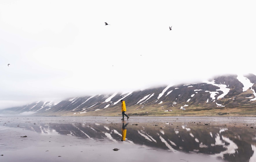Three Day Getaway to Siglufjörður and the Troll Peninsula